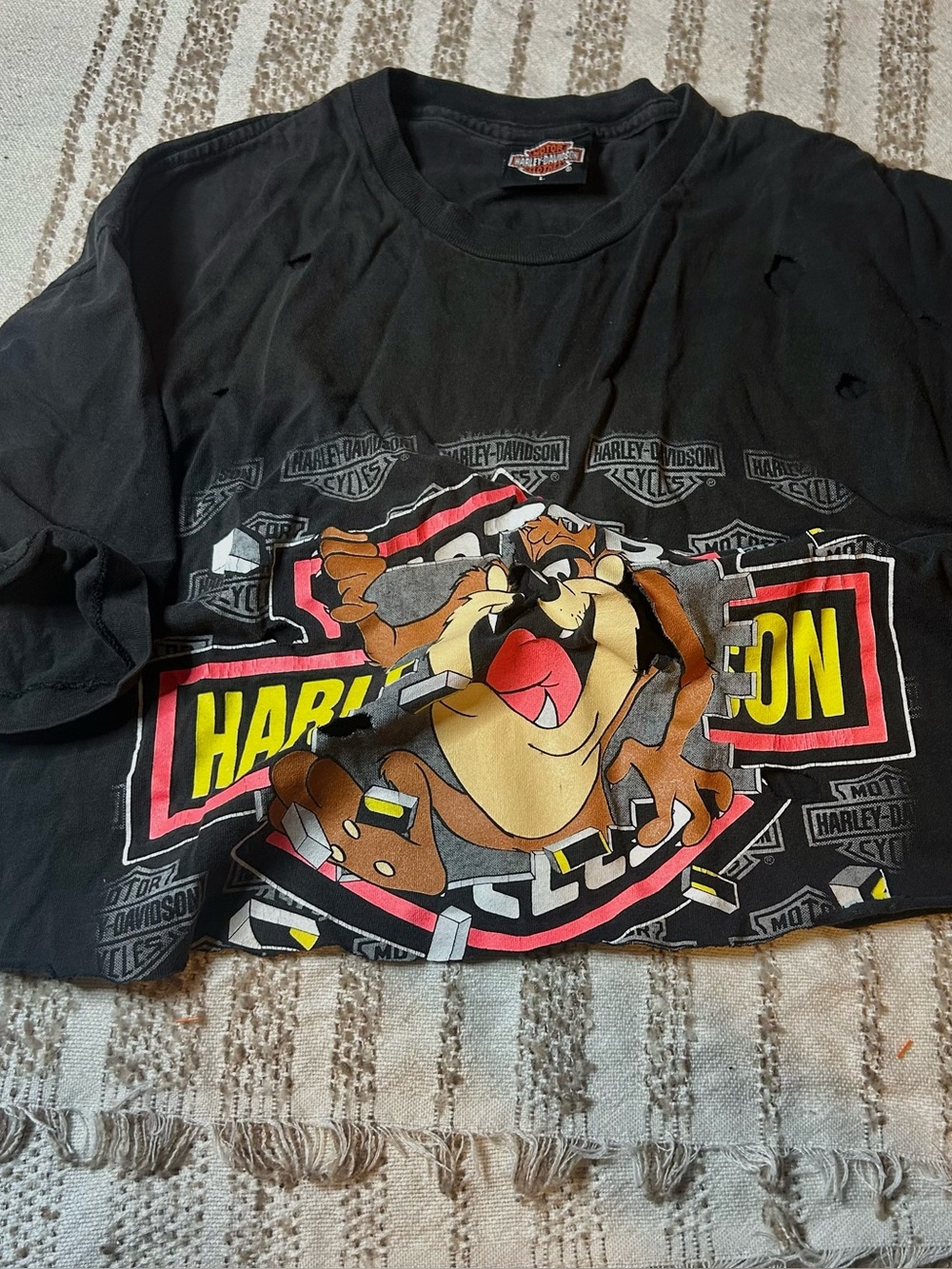 Harley-Davidson vintage Looney Tunes